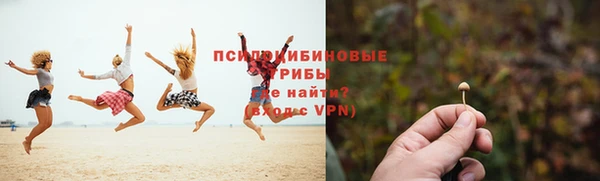 МДПВ Осинники
