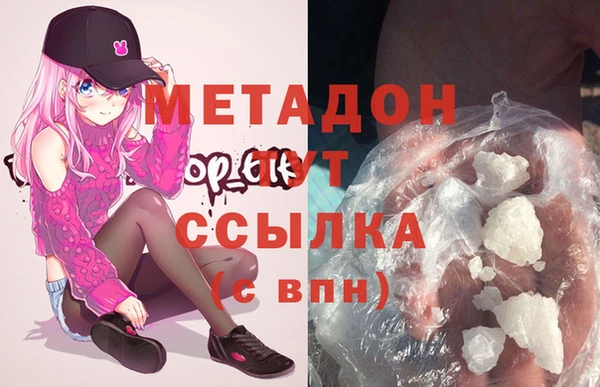 прущие грибы Няндома