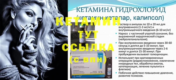 прущие грибы Няндома
