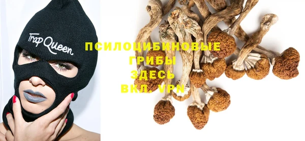 прущая мука Остров