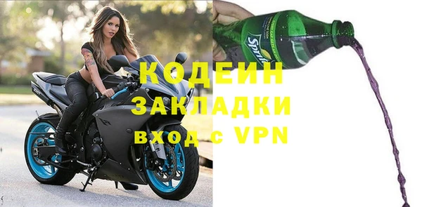 прущие грибы Няндома