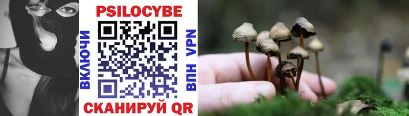 Купить закладки  Нефтегорск  Галлюциногенные грибы Magic Shrooms 